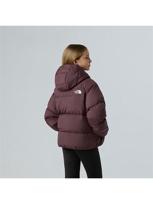  THE NORTH FACE | NF0A88UD/BQ71